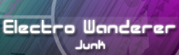 Electro Wanderer / Junk